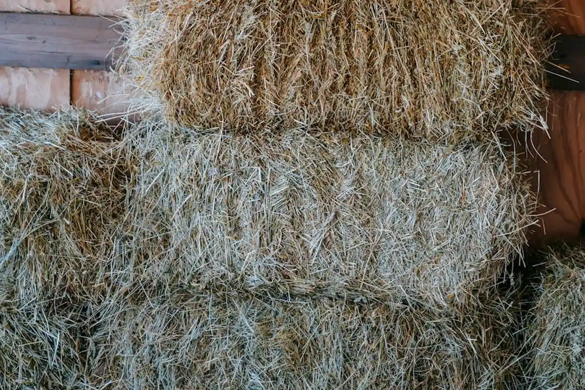 Smiling woman with a towel wrapped around her head, applying foamy face wash in a bathroom.