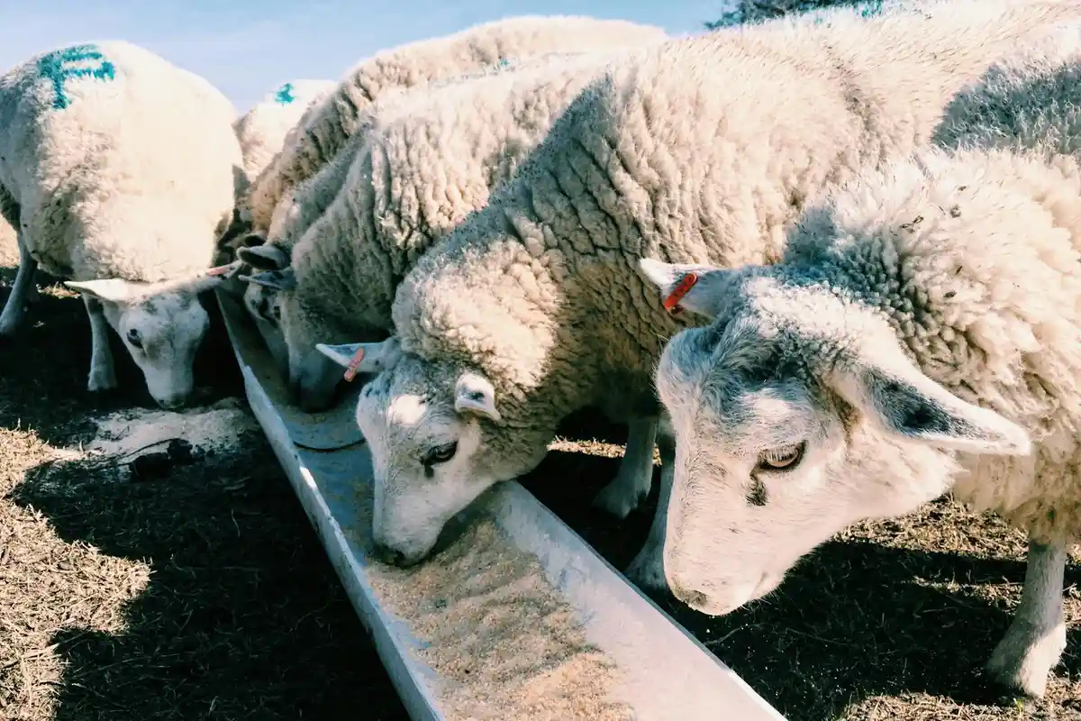 Smiling woman with a towel wrapped around her head, applying foamy face wash in a bathroom.