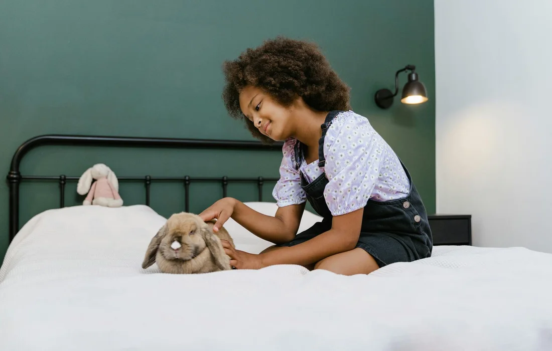 A person wearing a light blue top and dark overalls sits on a bed, gently petting a brown lop-eared rabbit on a white duvet, with a green wall and a lamp in the background.