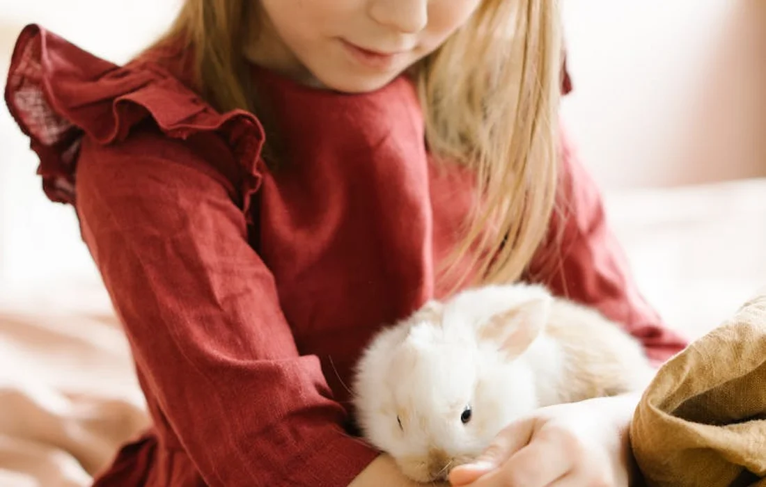 Young girl in a red dress gently cradling a white rabbit