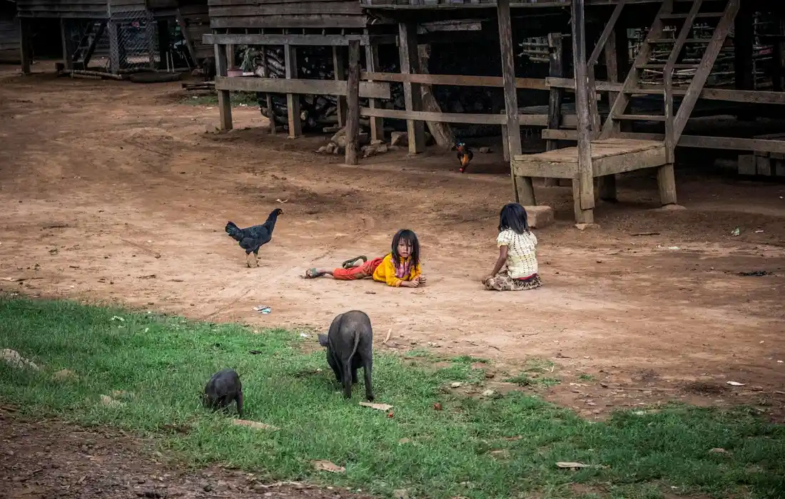 Two children sit near a wooden barn while chickens and a small piglet forage in a dirt yard.