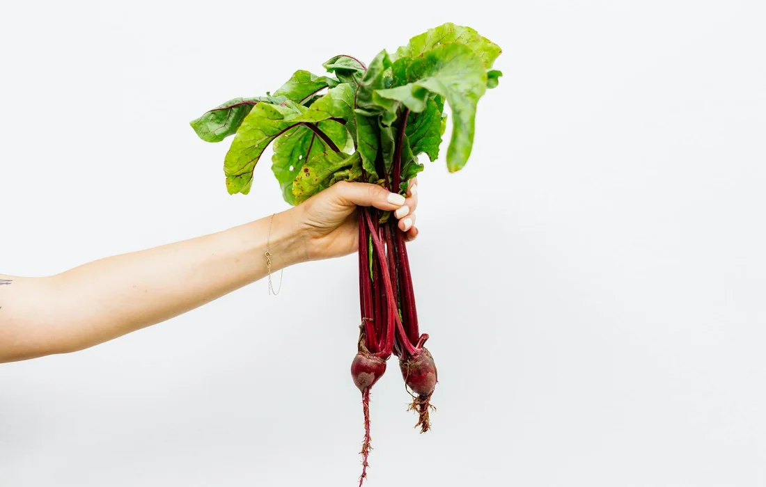 Hand holding a bunch of fresh beet greens with red stems and green leaves, ready to be fed to a rabbit.