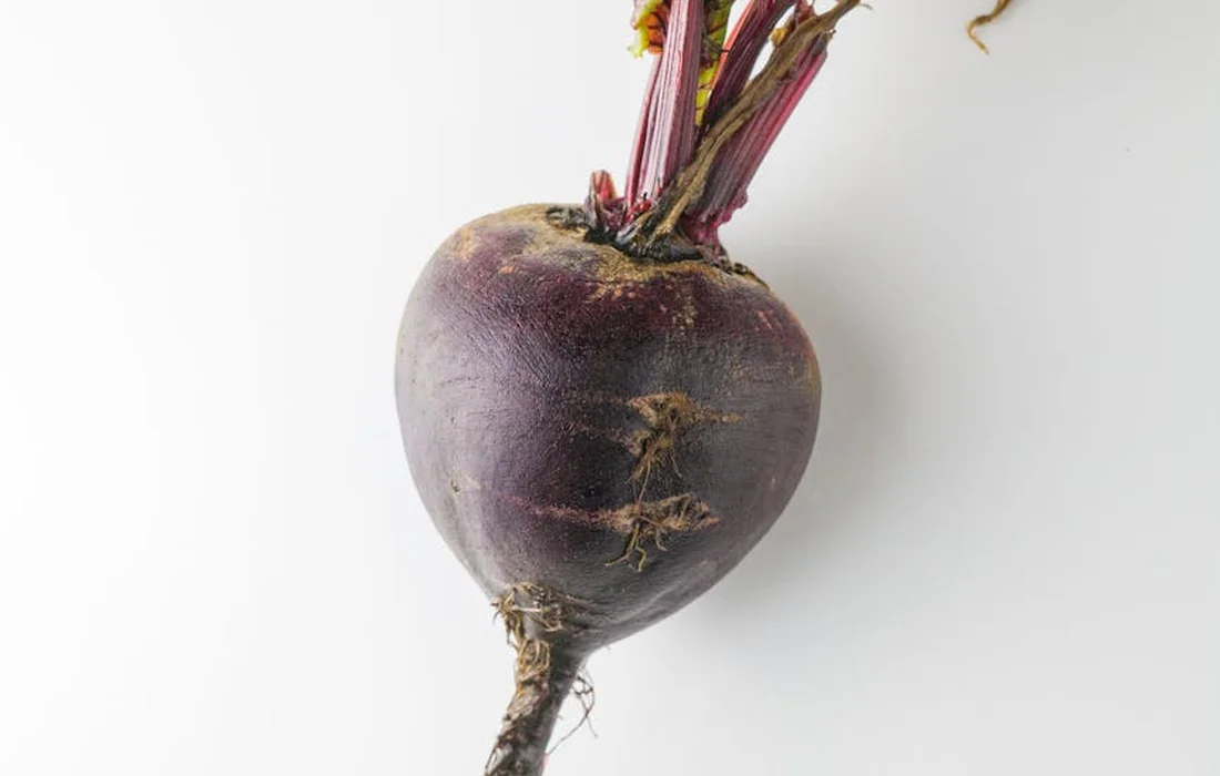 Purple beet bulb with roots and short red stems on a white background.