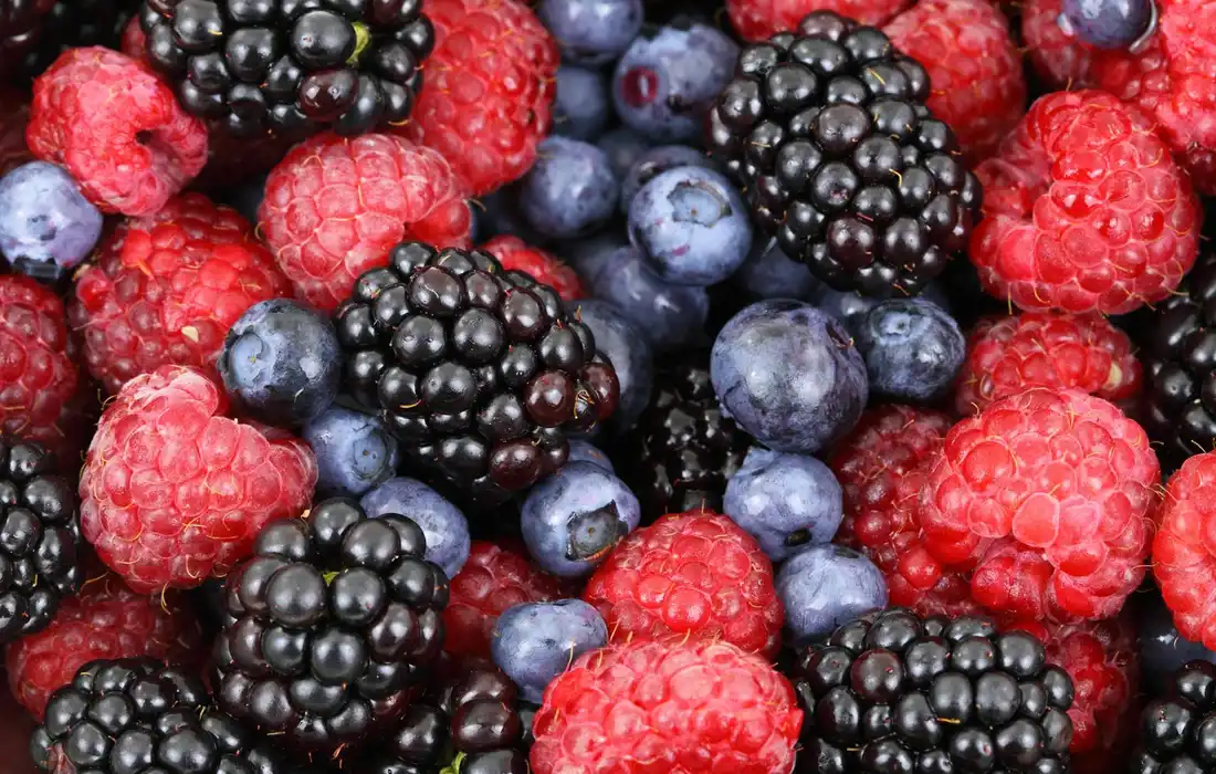 Close-up of red raspberries, blue blueberries, and blackberries