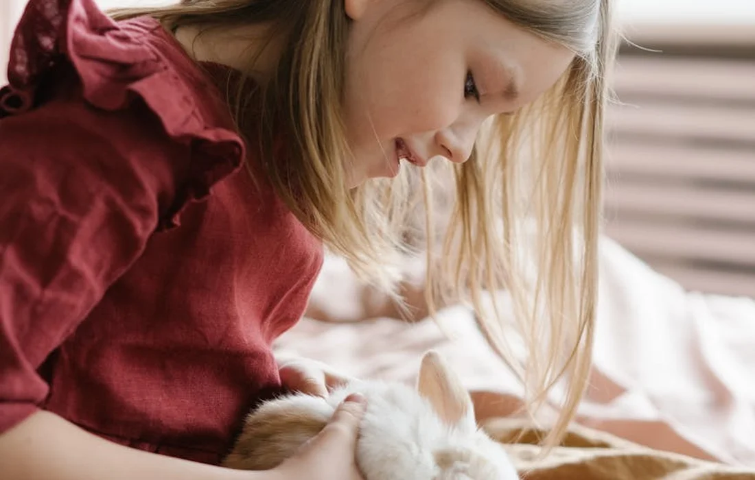 A young girl with long blonde hair wearing a burgundy top gently cradles a fluffy white rabbit on a bed.