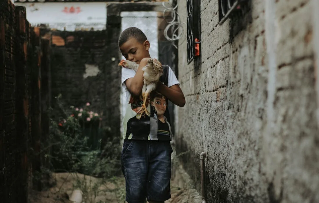 A child in a white shirt and jeans holds a small chicken in a narrow alley with weathered brick walls.