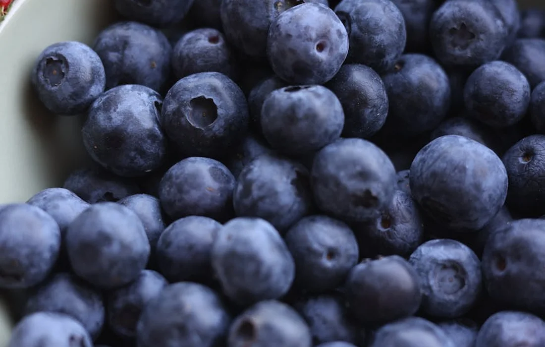 Close-up of fresh blueberries piled together, dark blue with a light dusty bloom.