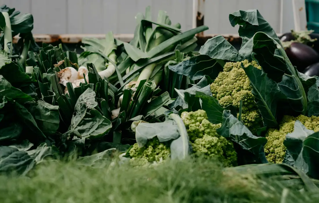 Assortment of brassica vegetables, including cabbage leaves, broccoli heads, and leafy greens, piled together