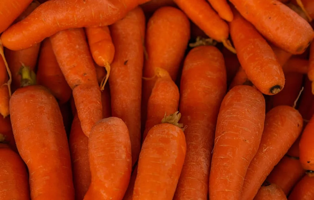 A close-up view of fresh orange carrots piled together