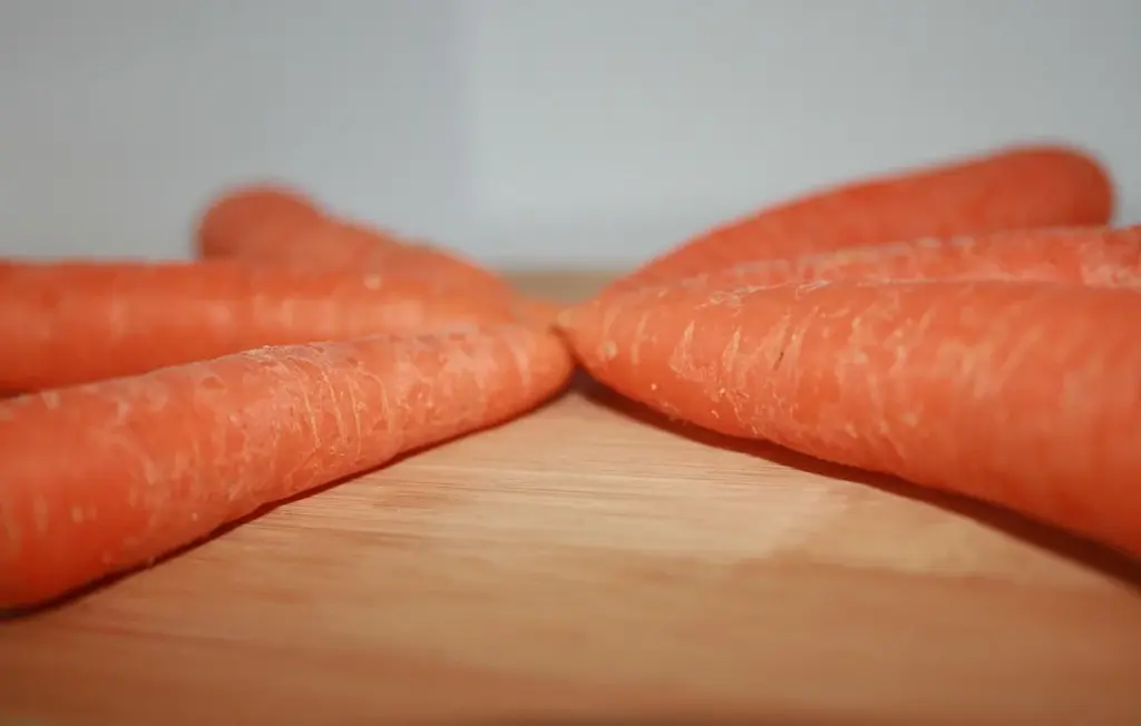 Carrots for Chickens: A Simple Guide to Feeding Roots and Tops