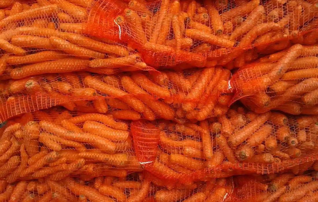 Pile of orange carrots in mesh bags