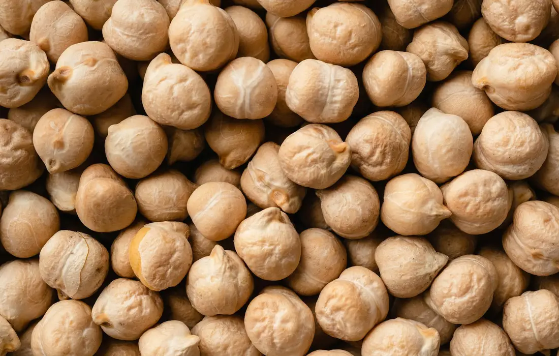 Close-up of dried chickpeas (garbanzo beans) filling the frame