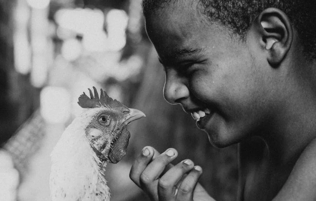 Child smiling at a chicken, illustrating careful feeding and balance