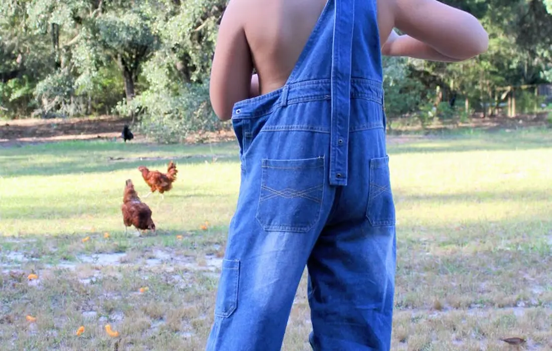 Back view of a person wearing blue overalls standing in a grassy field with chickens in the background.