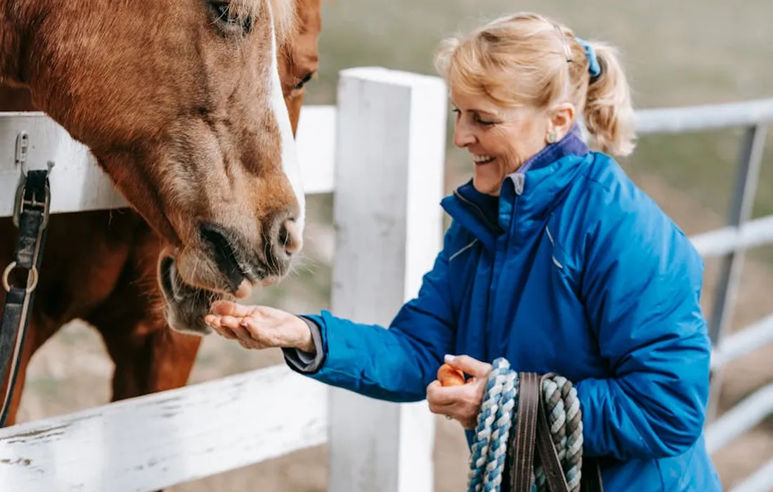 Woman in a blue jacket offering feed to a horse at a white fence.