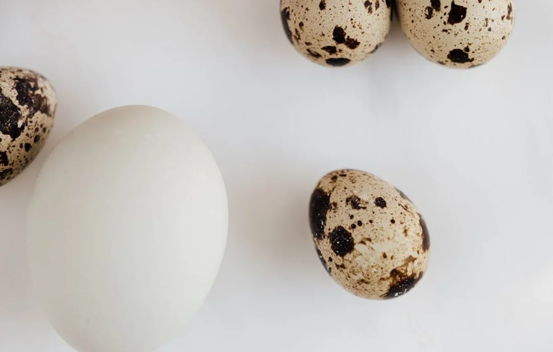 White chicken egg with several speckled eggs on a light background