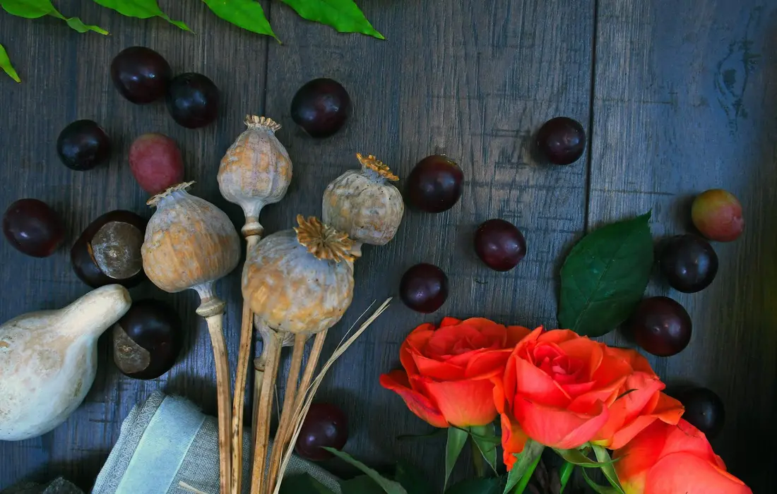 Decorative arrangement of red roses, dried seed pods, and dark grapes on a blue wooden surface.