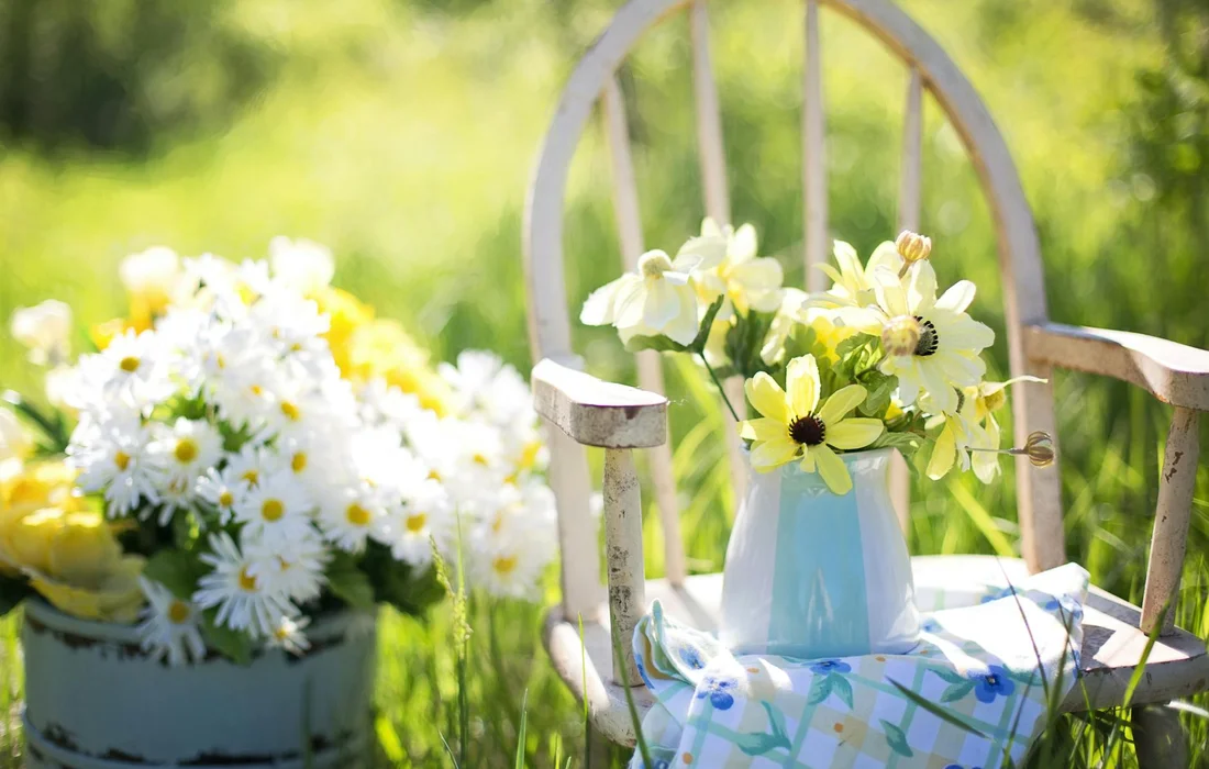 Sunny garden scene with a watering can on a chair, surrounded by yellow and white daisies and blooms, illustrating a chicken-safe, sunlit garden.
