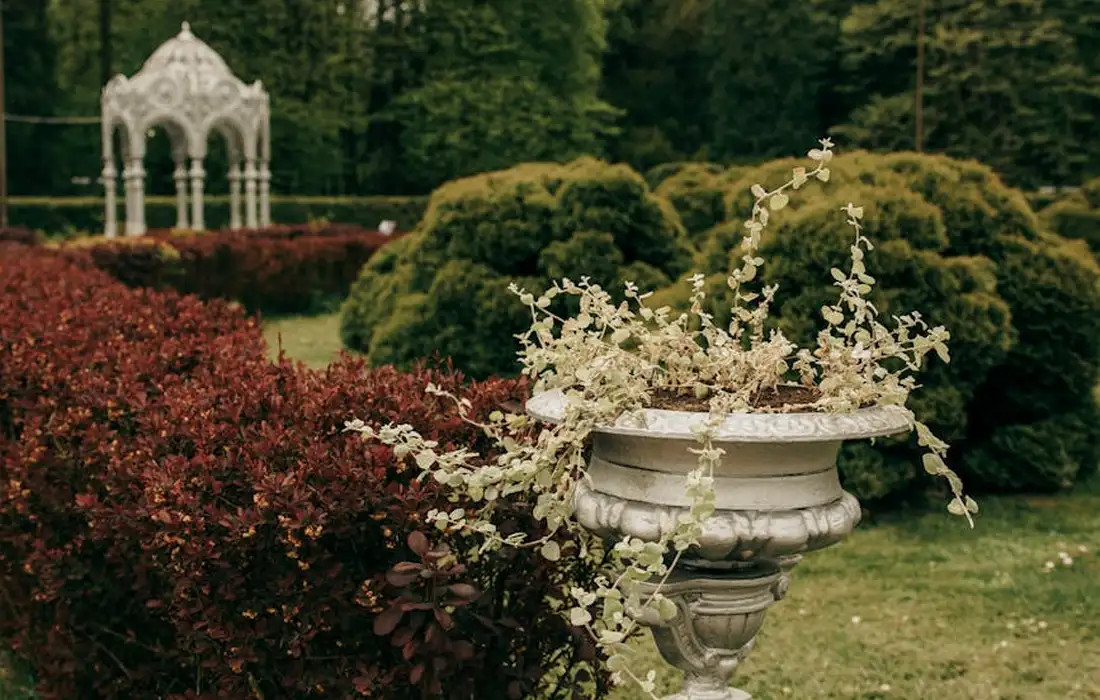 An ornamental garden scene featuring a carved stone urn planter with trailing white-flowered foliage, red-leaved shrubs, and a distant white gazebo, set in a well-kept lawn.