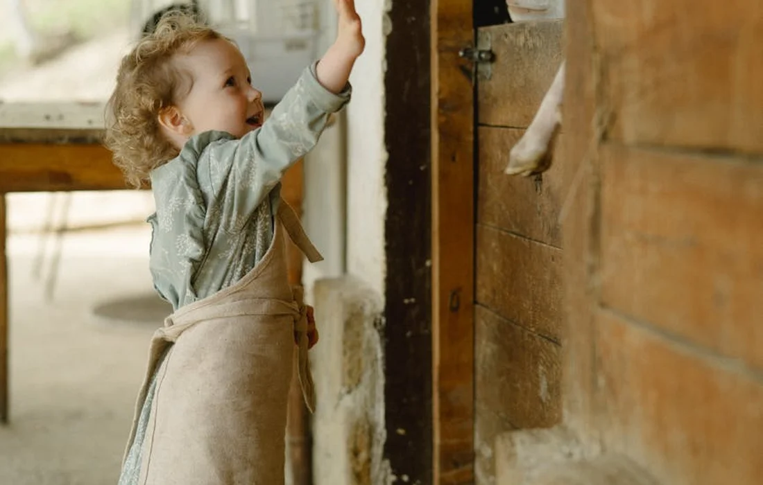 Young child wearing an apron reaches toward a goat at a wooden barn door.