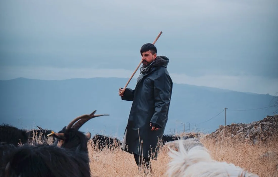 Man in a dark rain jacket holds a wooden staff while standing among grazing goats in a dry meadow with distant hills.