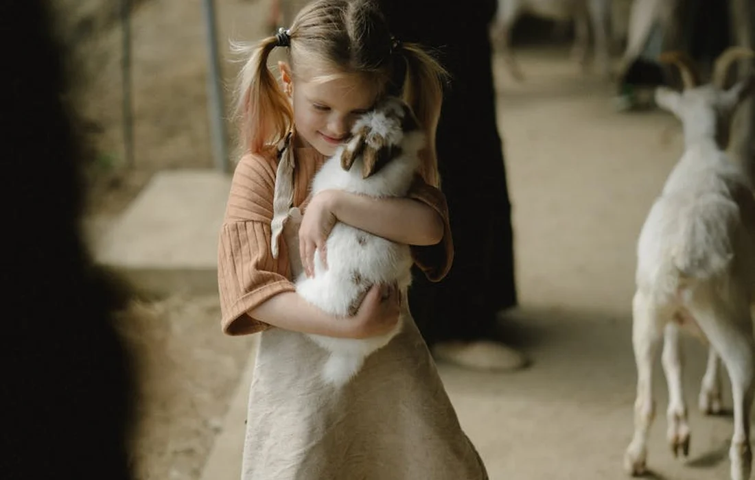 A young girl wearing a light dress gently hugs a white goat kid at a farm.