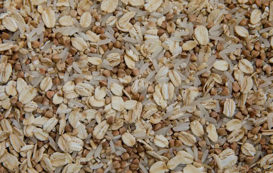 Close-up of rolled oats and mixed grains.