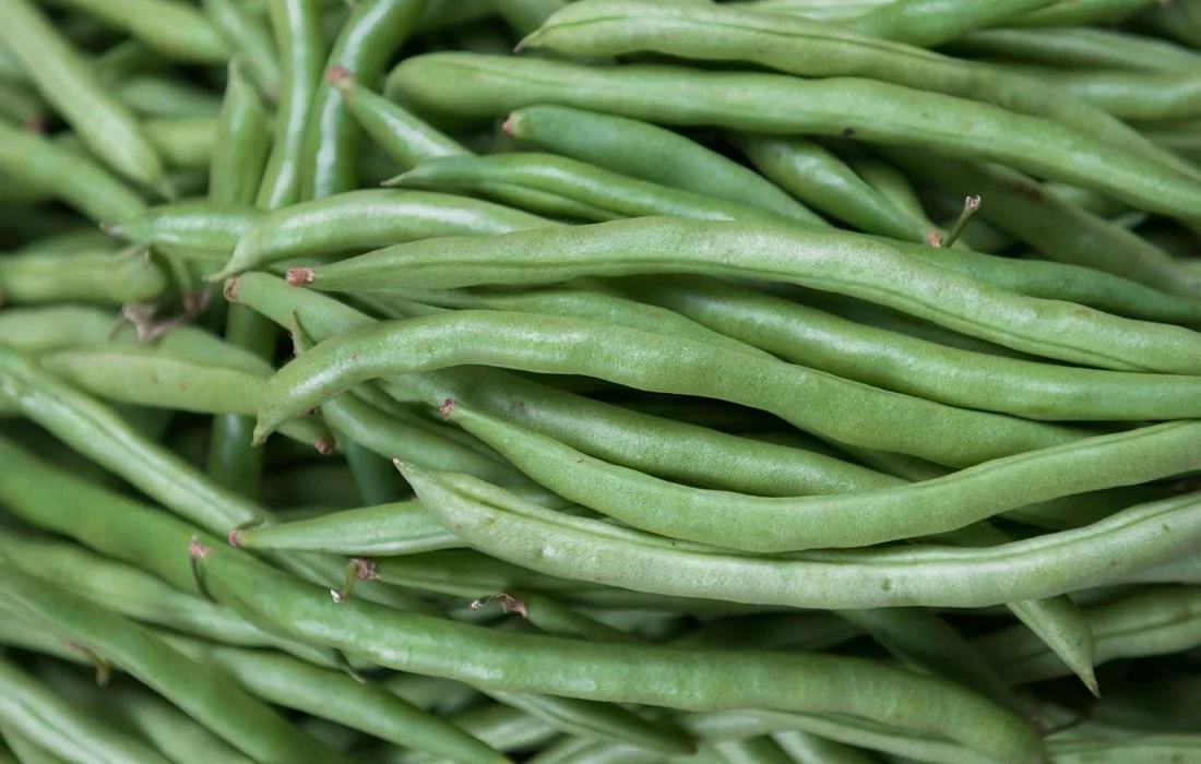 Fresh green beans piled together