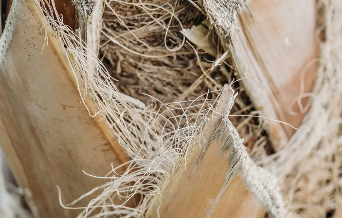 Close-up of frayed rope and wooden boards showing damage from bark chewing by cattle or horses, illustrating the need for habitat repair.