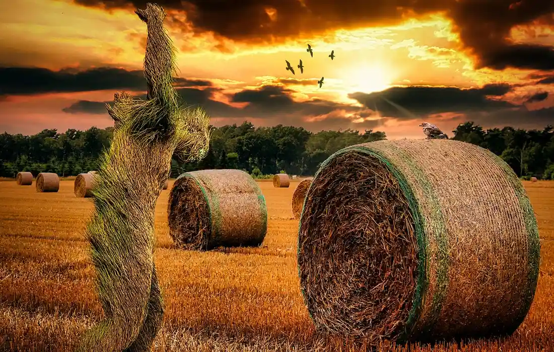 Sunset over a rural field with large cylindrical hay bales and a twisted hay sculpture in the foreground.
