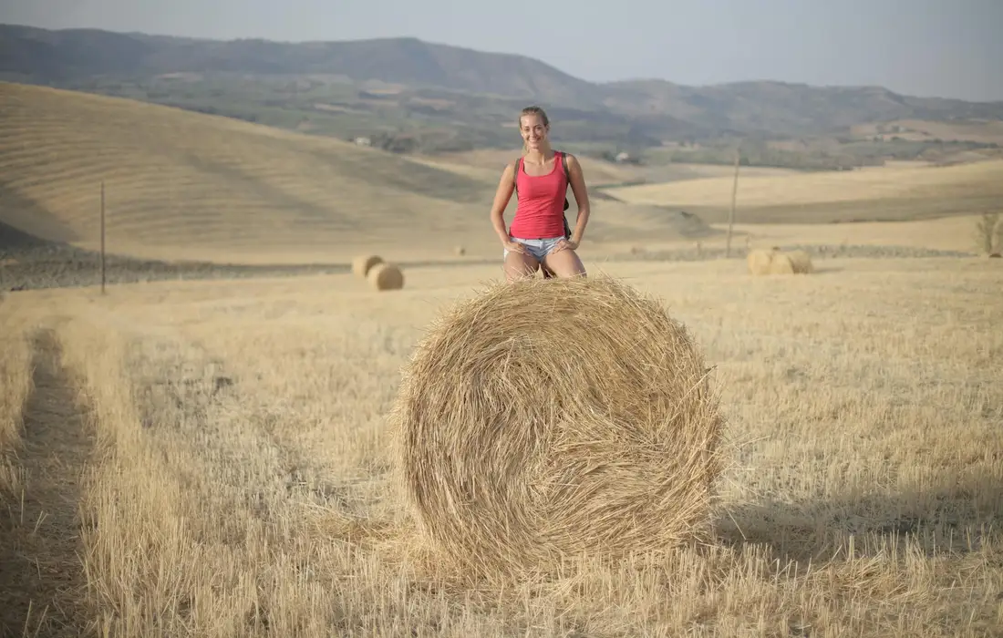 A person wearing a red top stands on top of a large round hay bale in a sunlit field, with more hay bales and rolling hills in the background.
