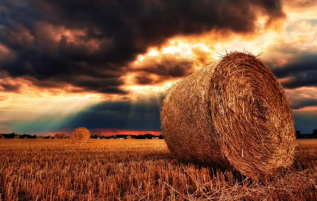 A large round hay bale in a harvested field beneath dramatic sunset skies