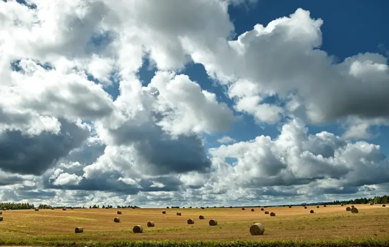 Open pasture with round hay bales scattered across a field beneath a dramatic, cloud-filled sky.