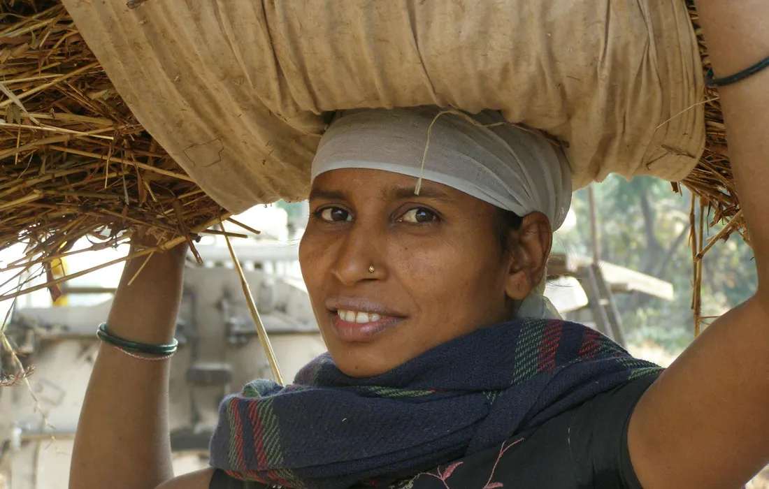 Portrait of a woman carrying a bundle of straw on her head in a rural setting, illustrating straw collection for farm use