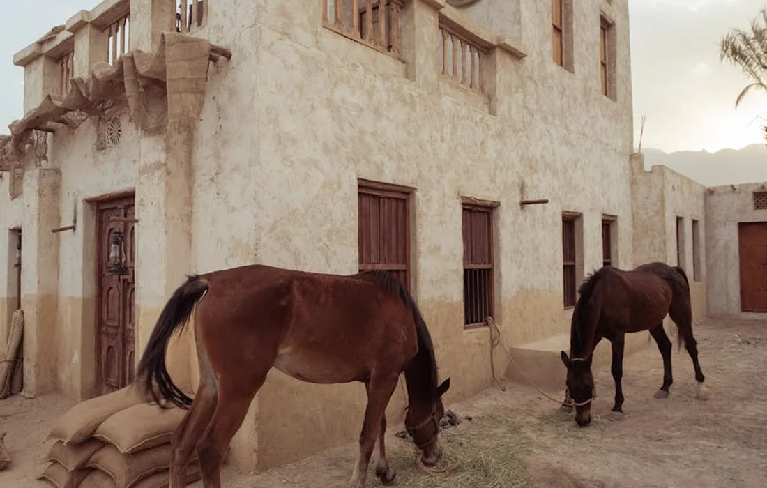 Two horses grazing near a beige adobe building in a dusty rural street.