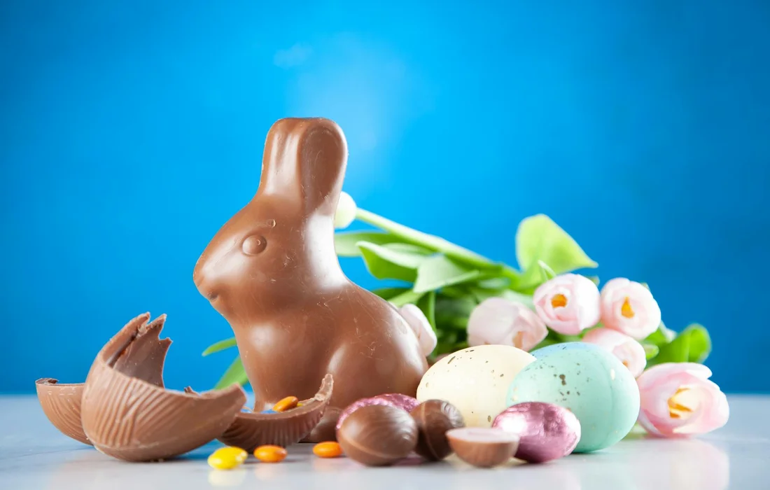 Chocolate bunny with broken eggs and colorful candies on a blue background, illustrating dairy and sugary hazards for rabbits.