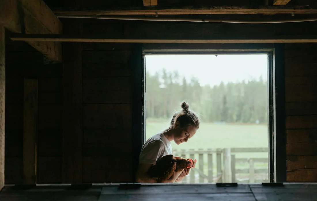Person in a rustic barn holding a chicken by a window