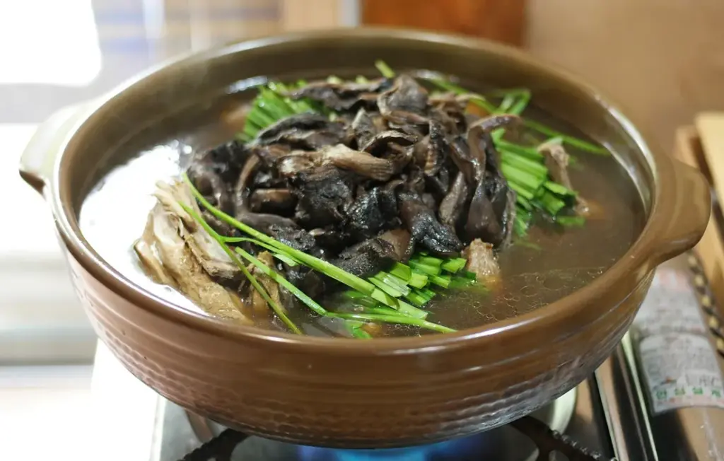 Can Ducks Eat Meat? Your Practical Guide to Safe Kitchen Scraps