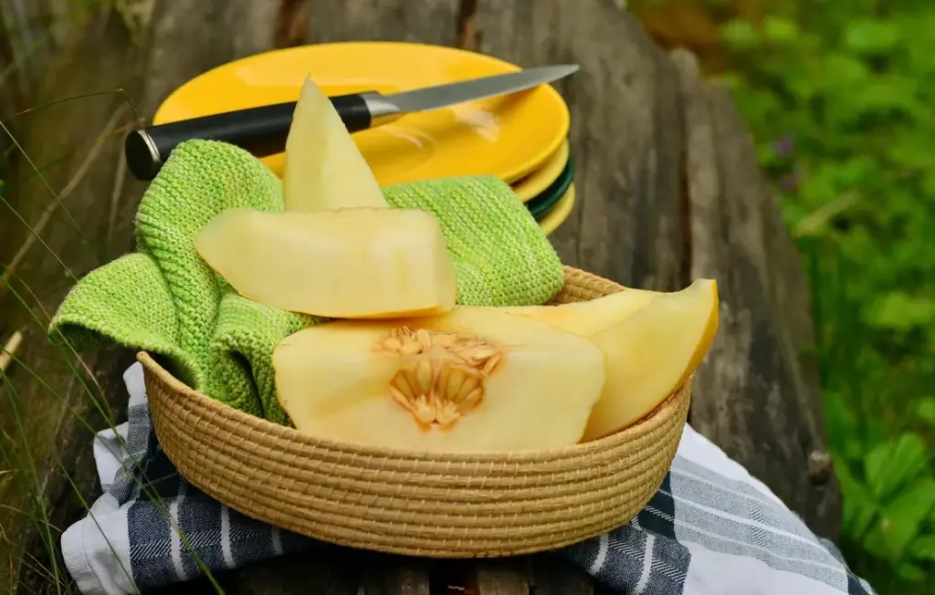 Can Rabbits Eat Melon Rinds and Seeds? A Homesteader’s Safe Feeding Guide