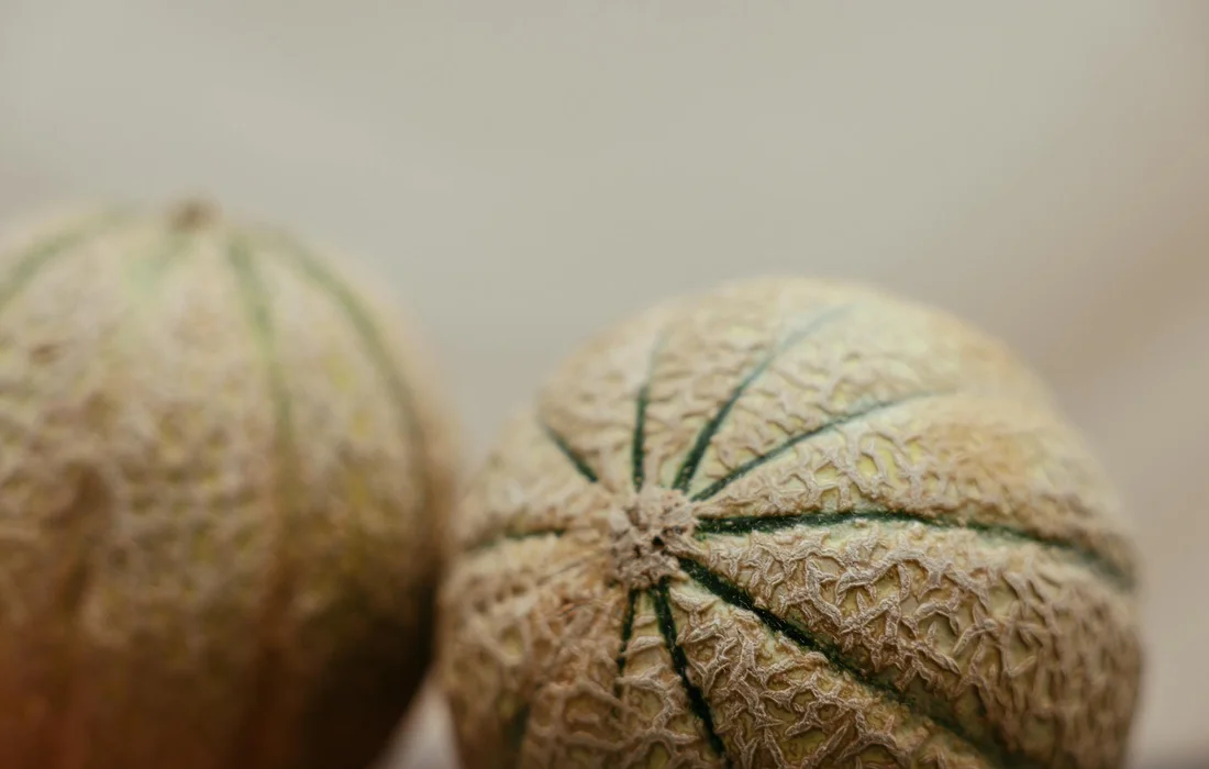Two cantaloupe melons with rough, netted rind resting together.