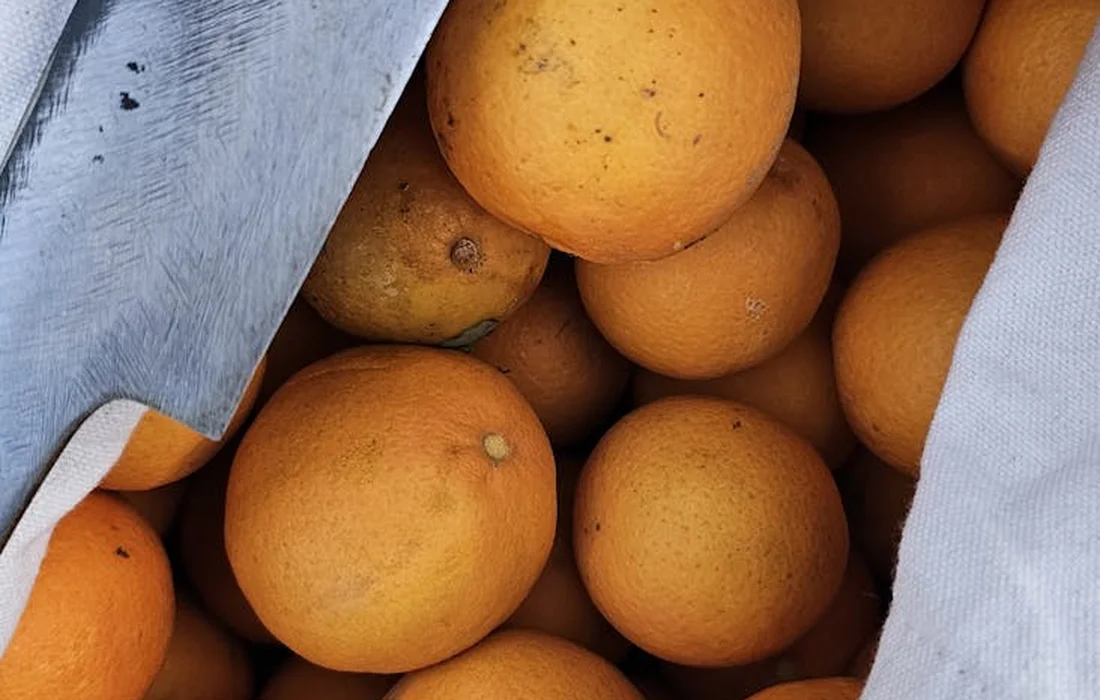Close-up of fresh oranges piled in a crate with a knife visible at the edge