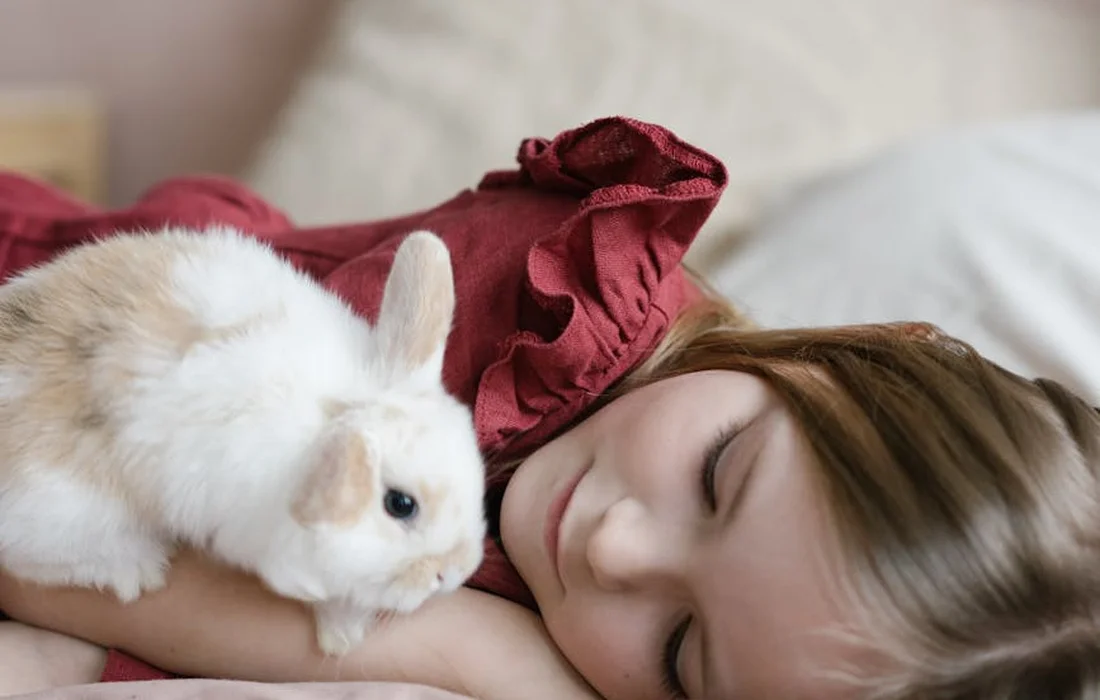 A woman lying in bed cuddling a small white rabbit with light brown patches.