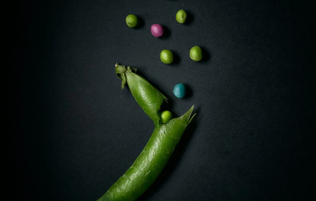 Open pea pod with loose green peas and scattered colorful round beads on a dark surface