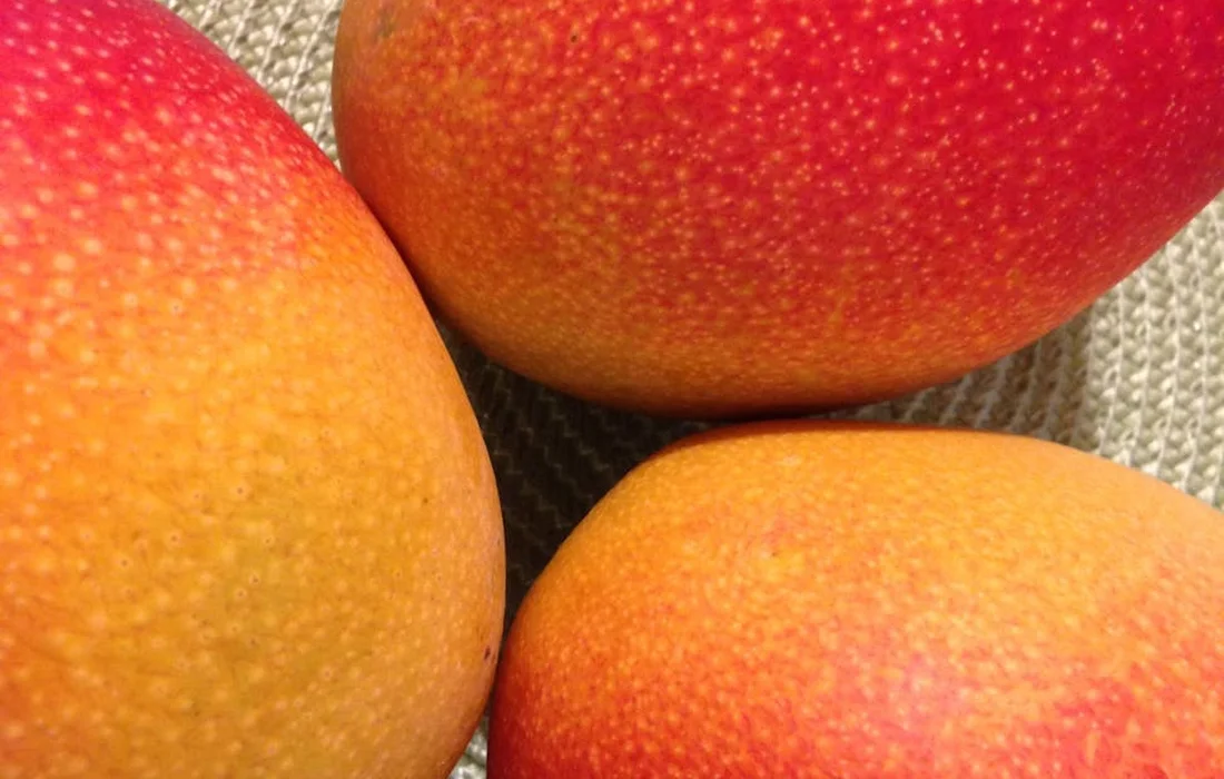 Close-up of three ripe peaches on a woven fabric surface