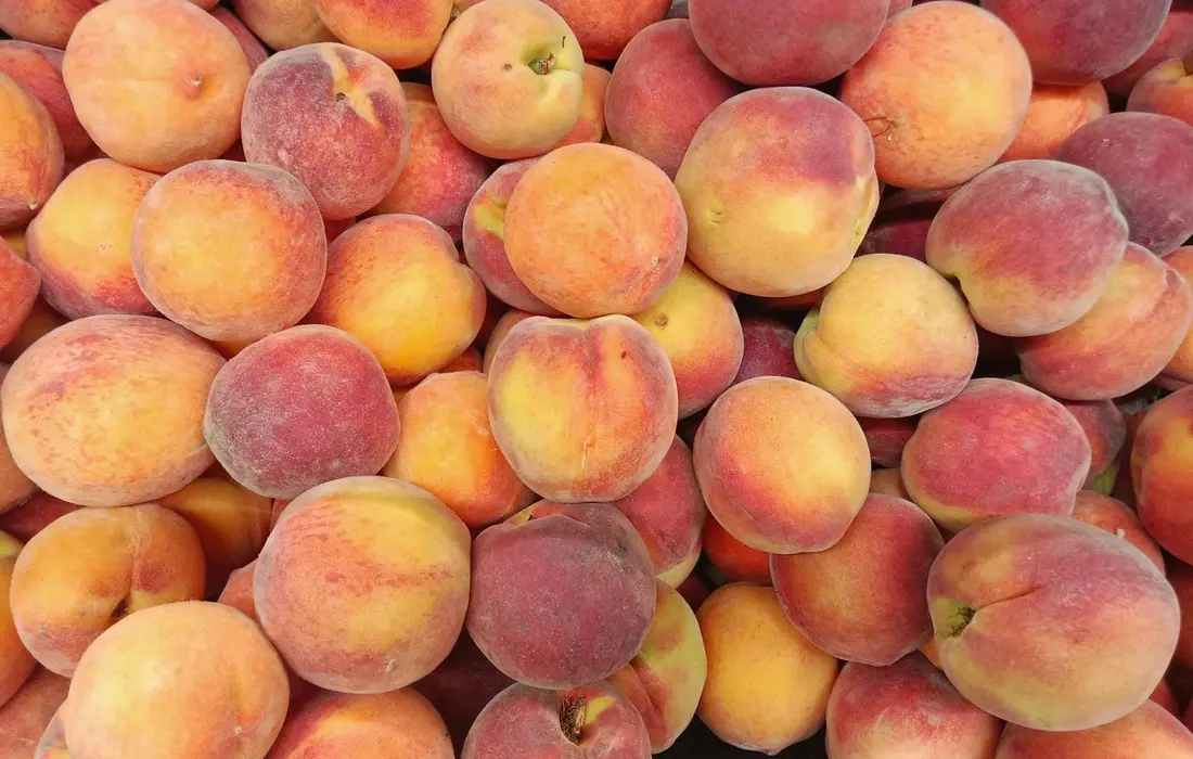 A close-up of a heap of ripe peaches with orange and pink tones