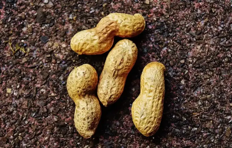 Four peanut shells on a rough, dark textured surface