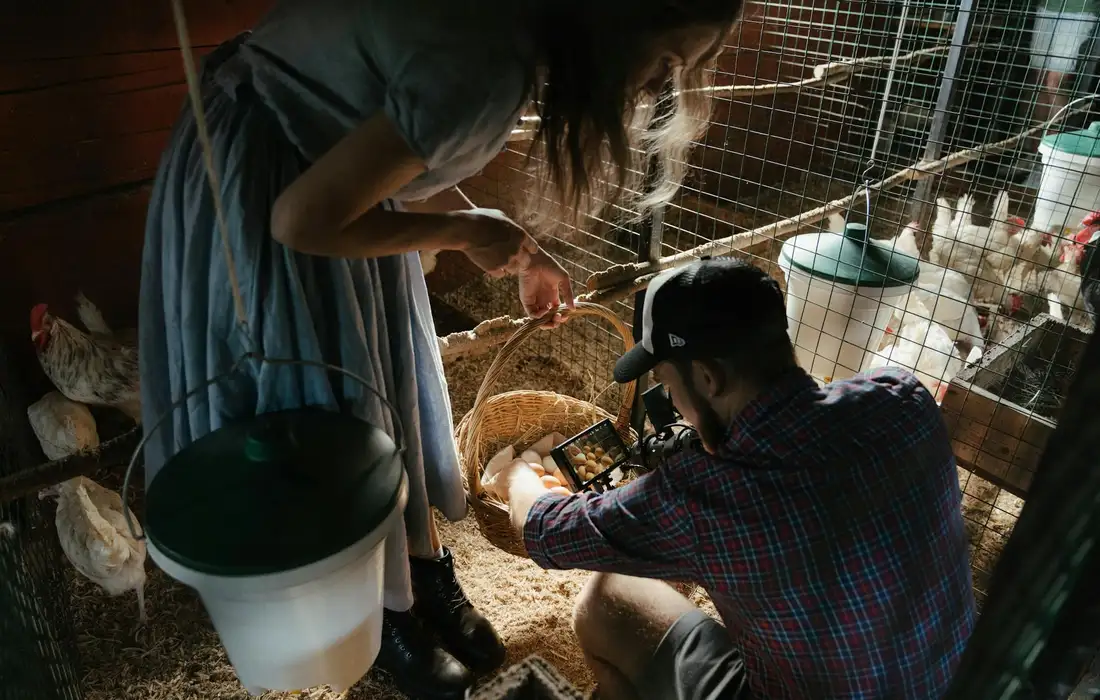 Two people by a chicken coop feeding peas to chickens inside a fenced run; one person holds a bucket while the other leans in toward the coop.