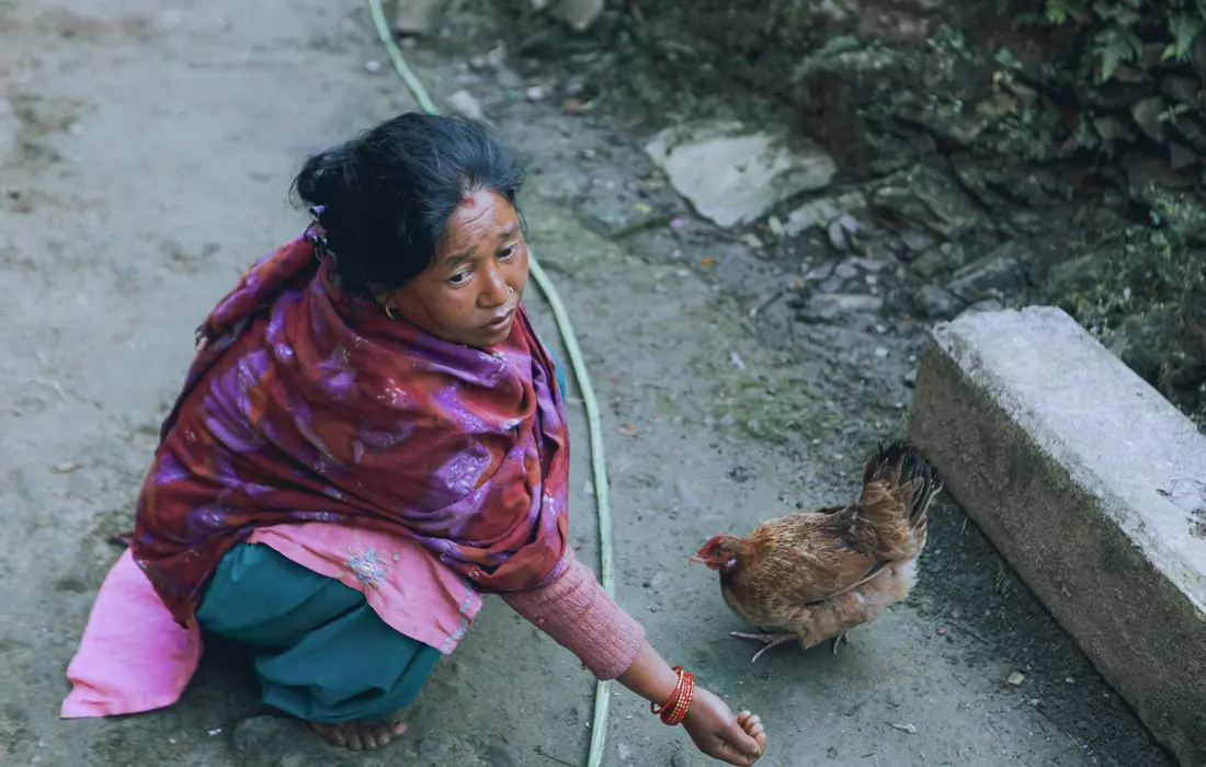 A woman sits on a concrete path with a small brown chicken nearby in a rural backyard setting.
