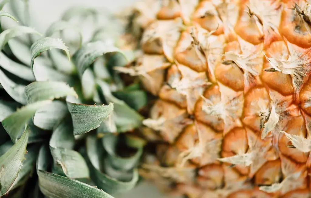 Can Chickens Eat Pineapple? A Safe Scoop on the Fruit, Skin, and Core