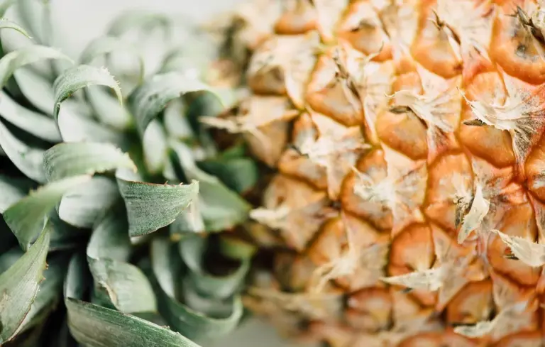 Close-up of a ripe pineapple with green leaves